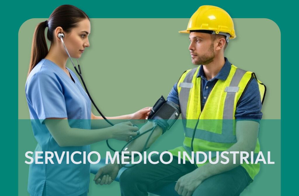 servicios seriso 01