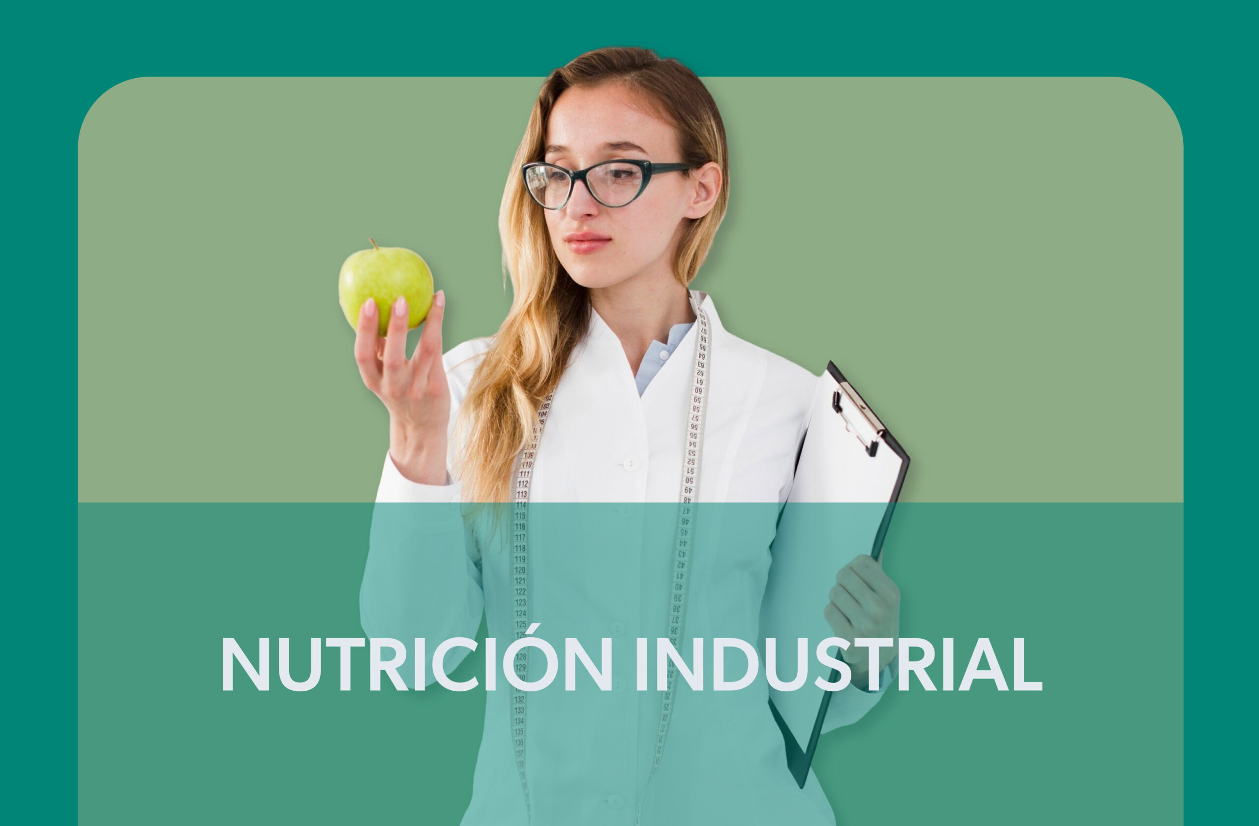 servicios seriso 06