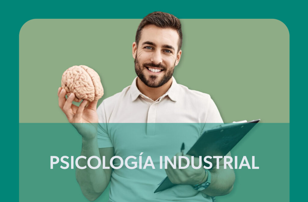 servicios seriso 07