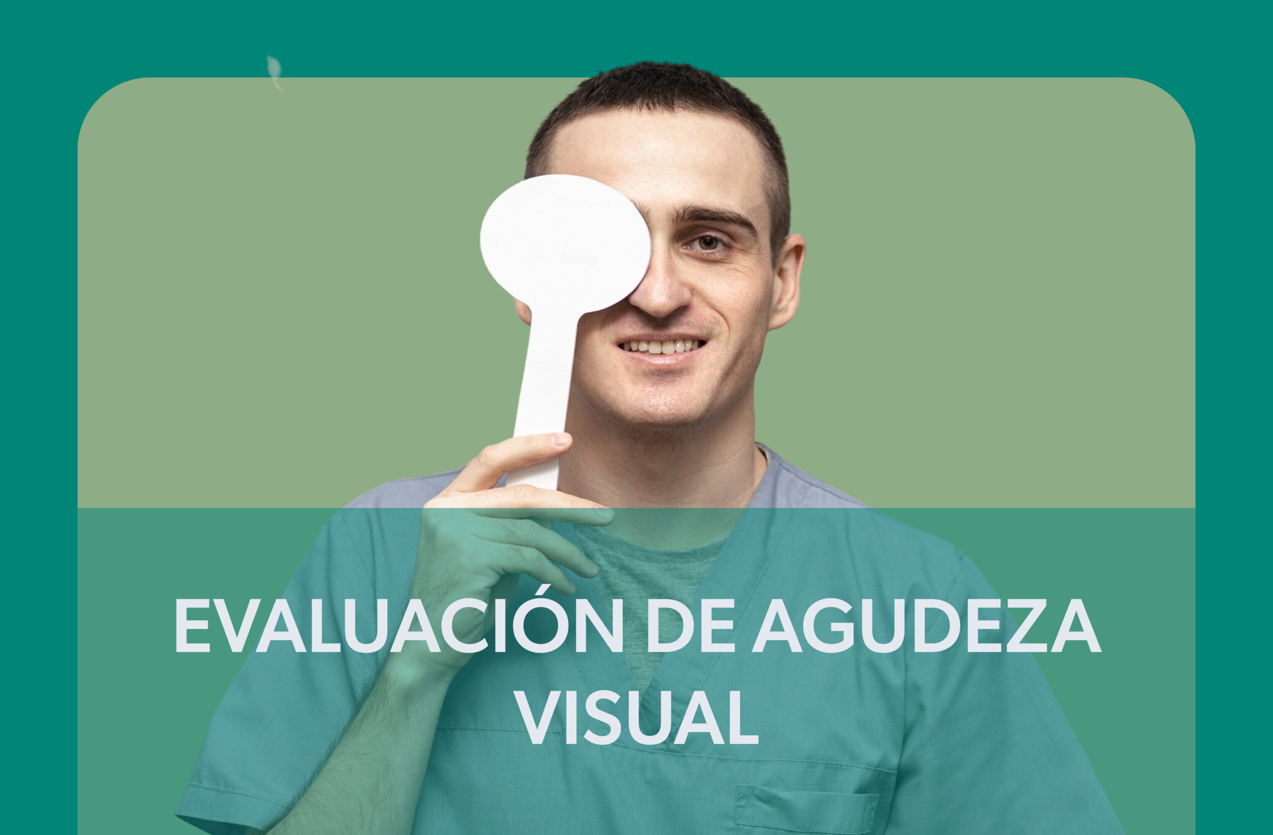 servicios seriso 08