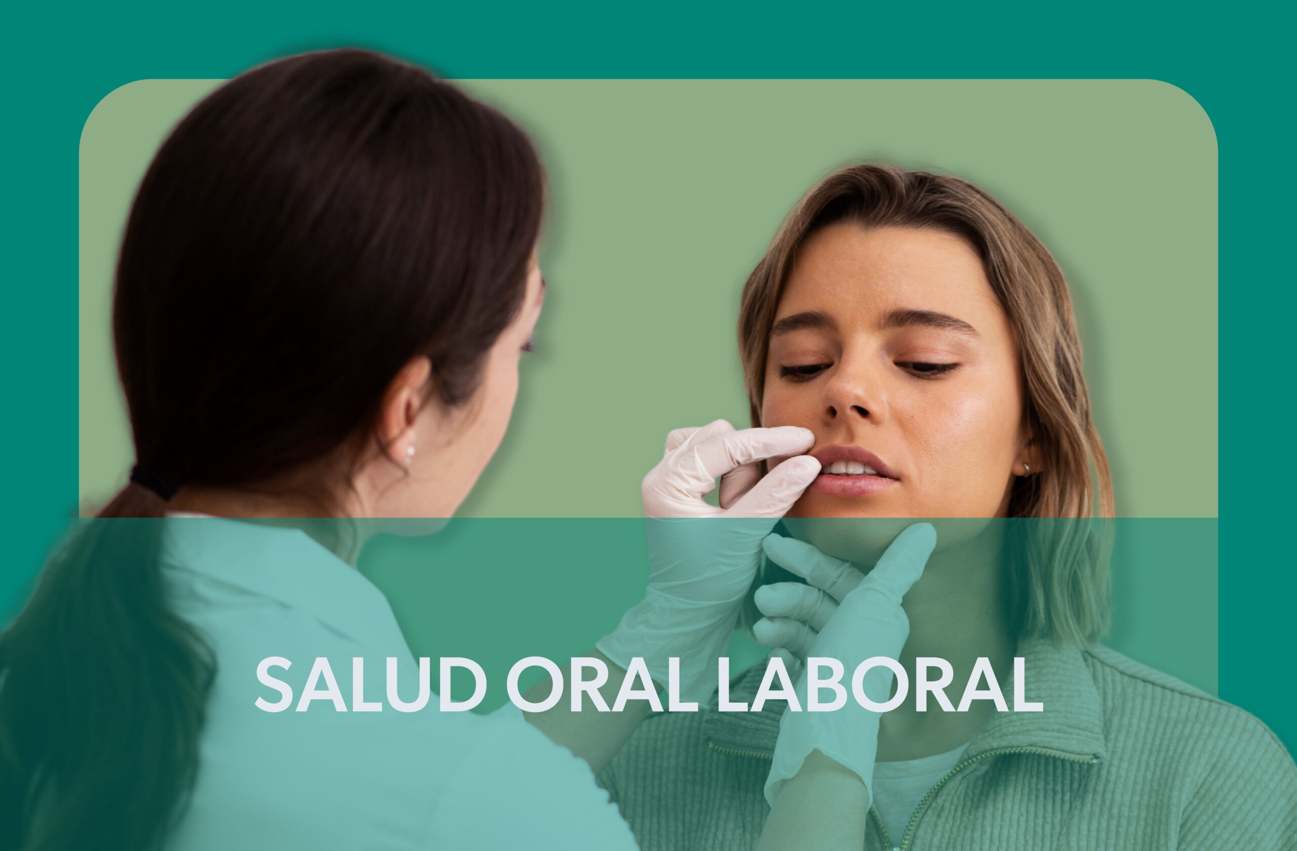 servicios seriso 09