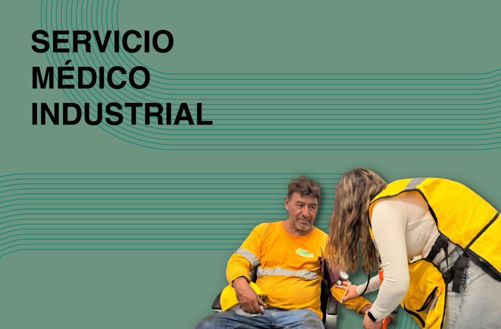 servicios seriso 01
