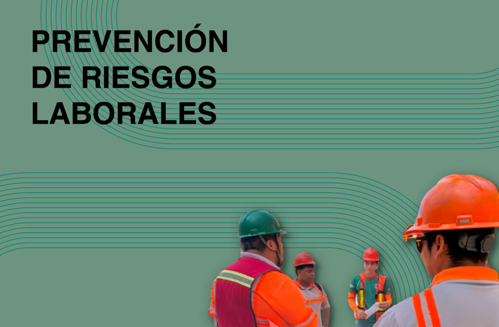 servicios seriso 03