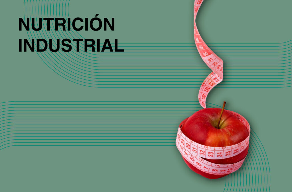 servicios seriso 06