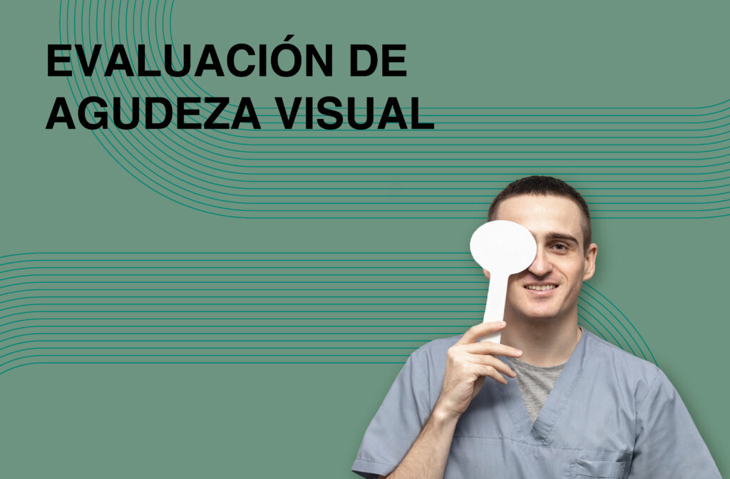 servicios seriso 08